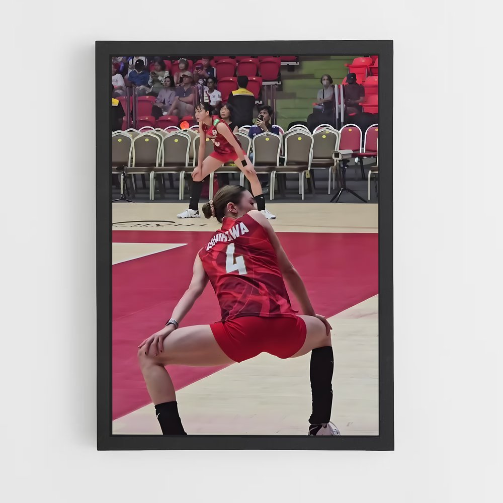 Poster Volleyball world (vue 2)
